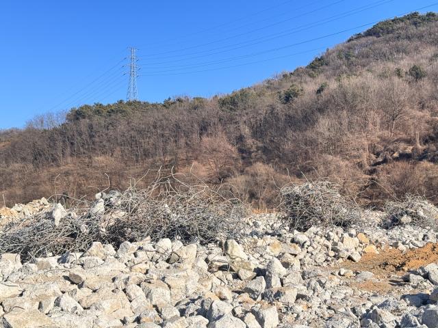 기타 기타